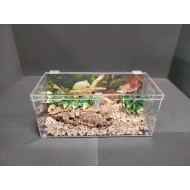  5 Gallon Special Reptile Cage