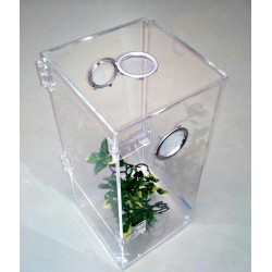 Large Arboreal cage with Door