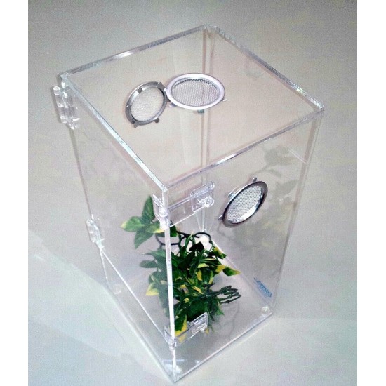 Large Arboreal cage with Door