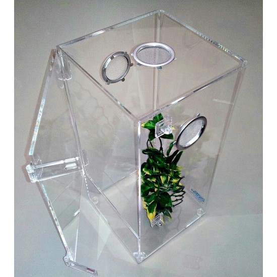 Large Arboreal cage with Door