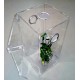 Large Arboreal cage with Door