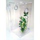 Large Arboreal cage with Door