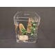 ARD 1612 ARBOREAL 10 GALLON ACRYLIC CAGE WITH DOOR TARANTULA, REPTILES, TREE CLIMBING