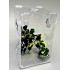 ARBOREAL ACRYLIC 3 GALLON CAGE WITH HINGED TOP- TARANTULA, REPTILES, TERRARIUM  ARH 812