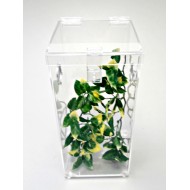 ARBOREAL ACRYLIC CAGE- 2 GALLONS WITH HINGED TOP TARANTULA, REPTILES, TERRARIUM- ARH 612