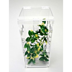 ARBOREAL ACRYLIC CAGE- 2 GALLONS WITH HINGED TOP TARANTULA, REPTILES, TERRARIUM- ARH 612