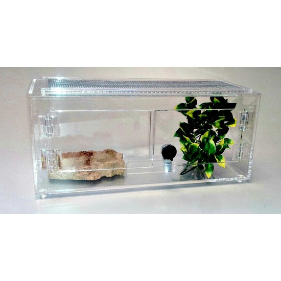 4 Gallon FD