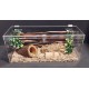  10 Gallon Special  HHH