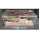  10 Gallon Special REPTILE CAGE