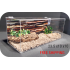  10 Gallon Special REPTILE CAGE