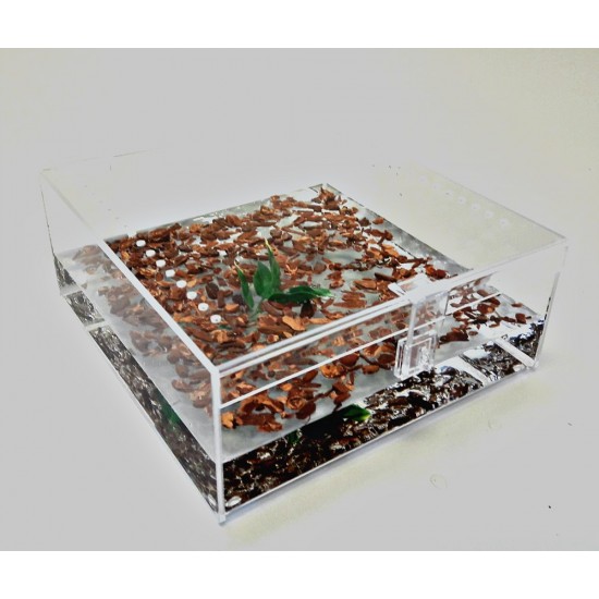 1 65 GALLON CAGE WITH HINGED TOP FOR TARANTULA,REPTILES,SPIDERS, TERRARIUM, SNAKE