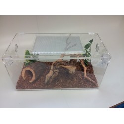 15 Gallon With Screen and Hasps