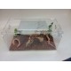 15 Gallon With Screen and Hasps
