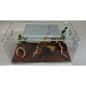 15 Gallon With Screen and Hasps