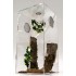 ARBOREAL 15 GALLON ACRYLIC CAGE WITH DOOR TARANTULA, REPTILES, TREE CLIMBING