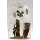 ARD 1020 ARBOREAL 9.5 GALLON ACRYLIC CAGE WITH DOOR TARANTULA, REPTILES, TREE CLIMBING