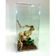 ARBOREAL 15 GALLON ACRYLIC CAGE W/ DOOR & SCREEN TOP,TARANTULA, REPTILES, TREE CLIMBING