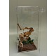 ARBOREAL 15 GALLON ACRYLIC CAGE W/ DOOR & SCREEN TOP,TARANTULA, REPTILES, TREE CLIMBING